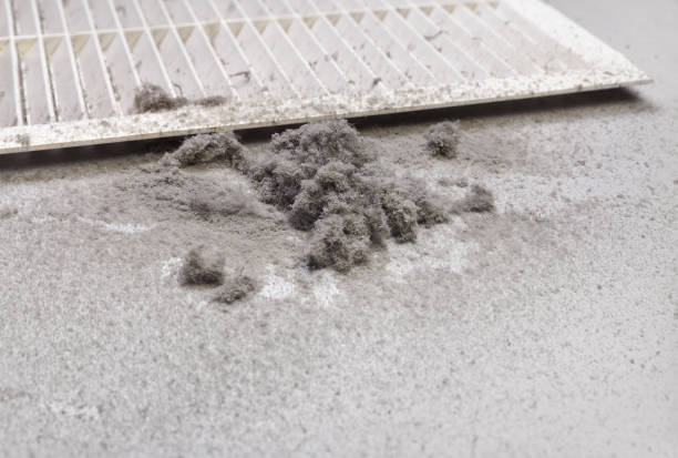 Best HVAC Air Duct Cleaning  in Edinburg, IL
