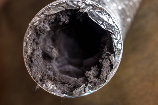 Best Local Air Duct Cleaning Services  in Edinburg, IL